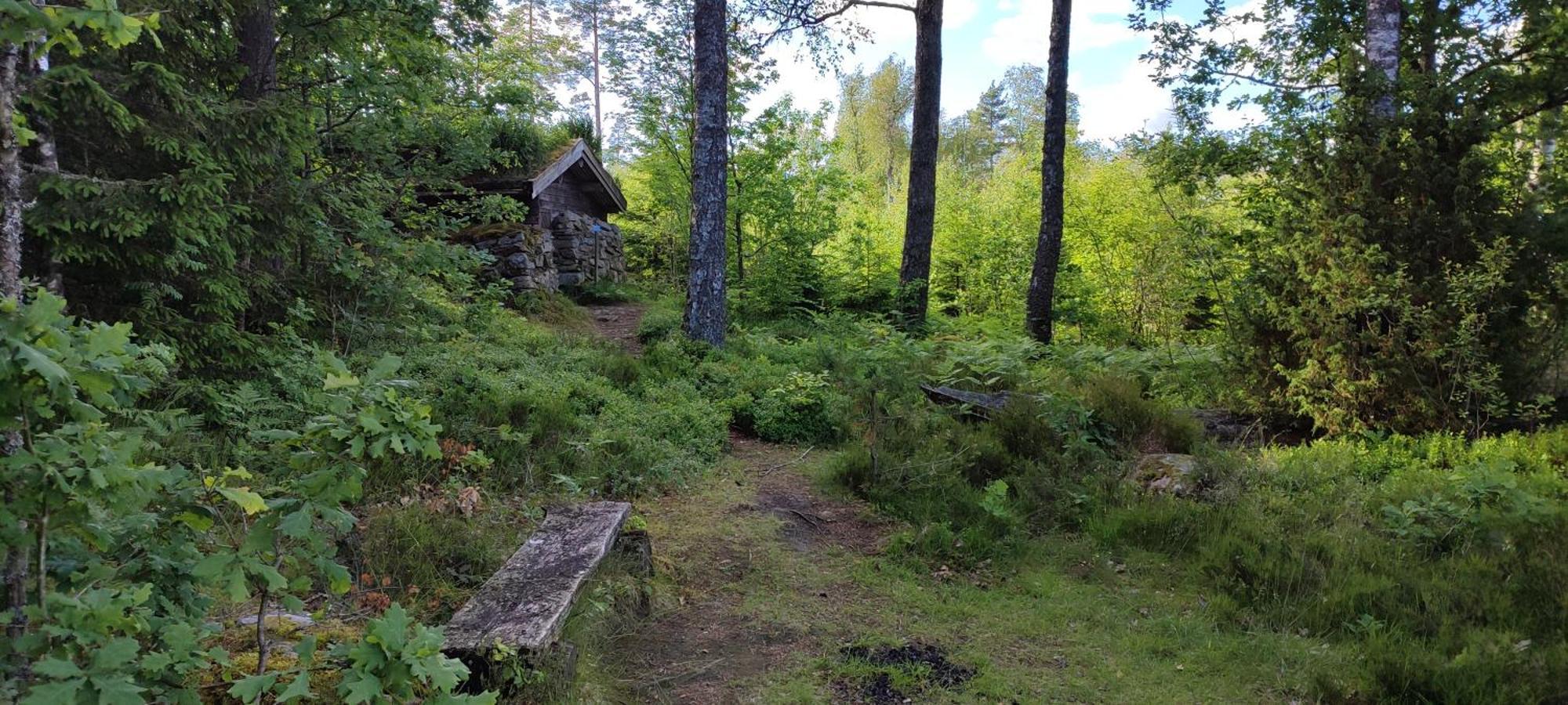 Boende I Malaskog, Near The Lake, Boat, Big Garden Ryssby Eksteriør bilde